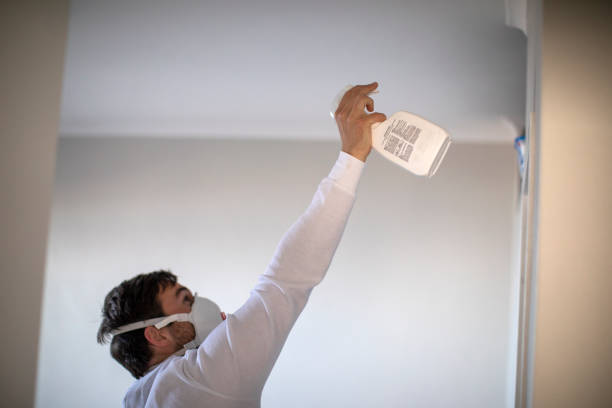 Best Attic Mold Removal  in Hicksville, OH